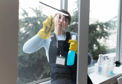 Nettoyage de vitres intérieures et extérieures à Genouillé